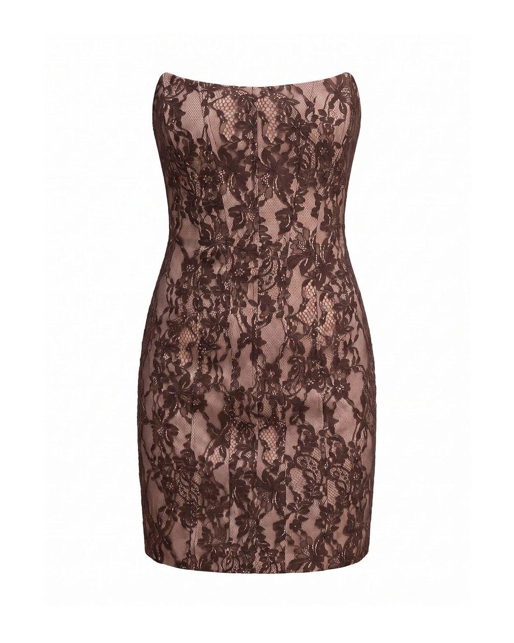 Forever New Brown Reese Strapless Lace Corset Mini Dress
