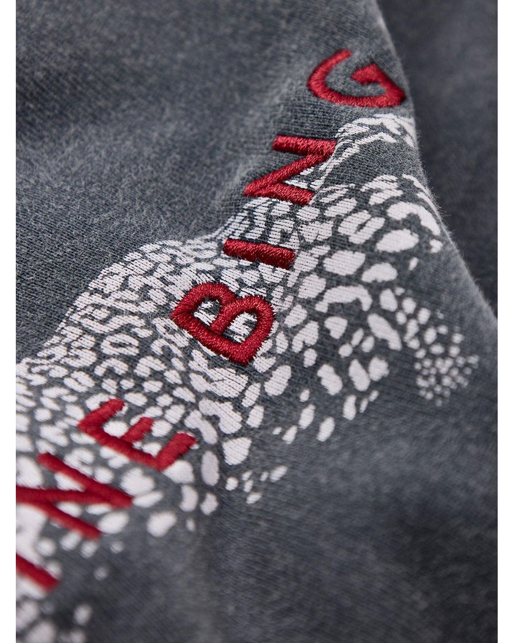Anine Bing Blue Spencer Leopard Sweatshirt