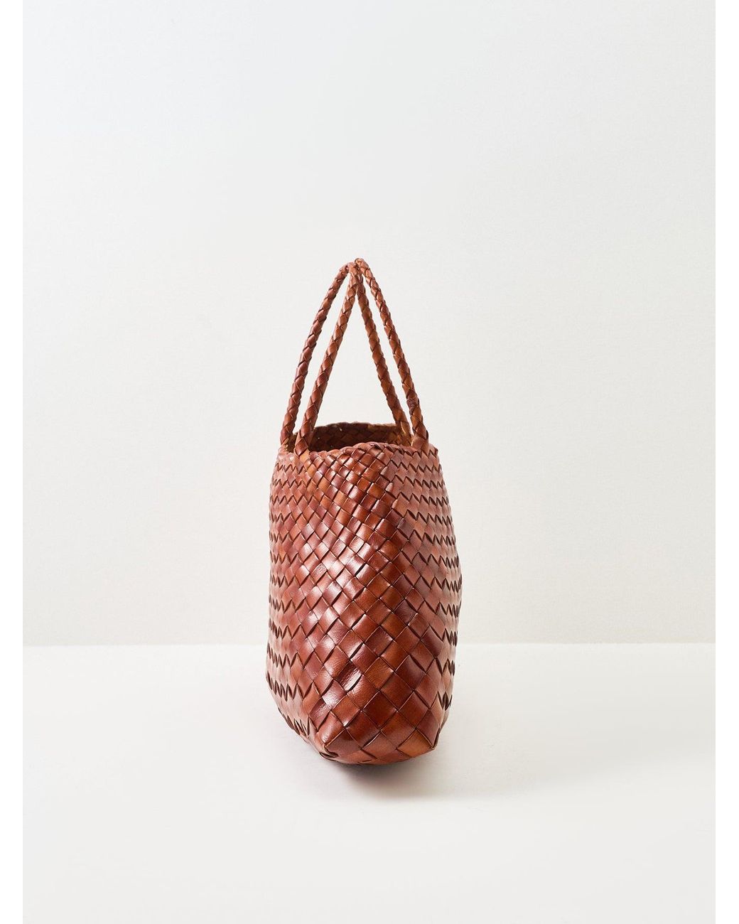 Dragon Diffusion Brown Santa Croce Small Mini Bag