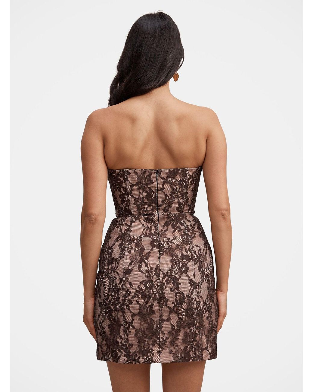 Forever New Brown Reese Strapless Lace Corset Mini Dress