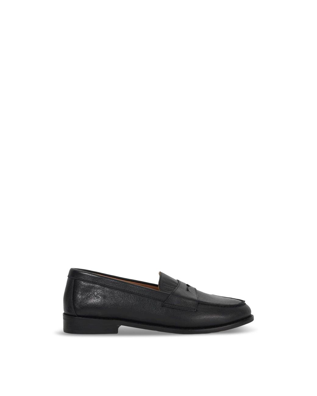 Dune White Wf Ginelli