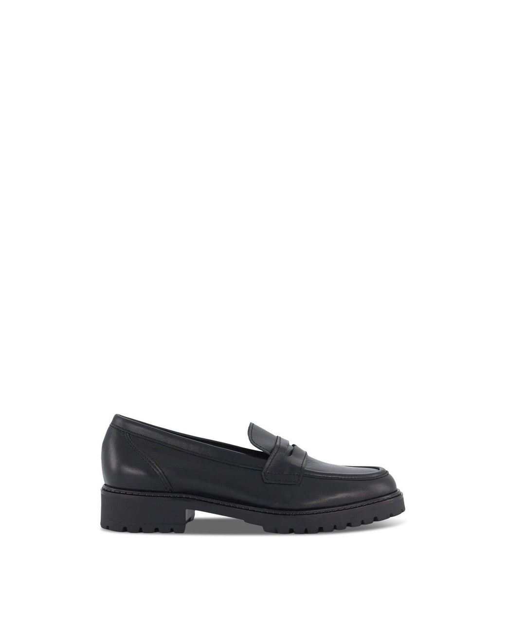 Dune Blue Women's Wf Gild