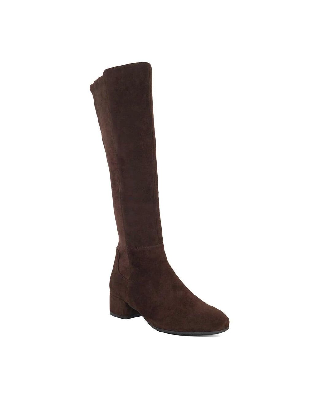Dune Brown Tayla