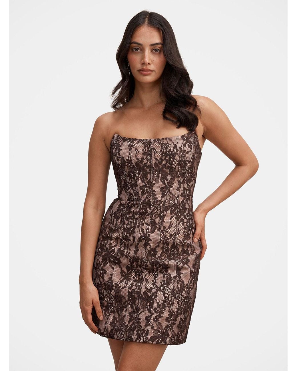 Forever New Brown Reese Strapless Lace Corset Mini Dress