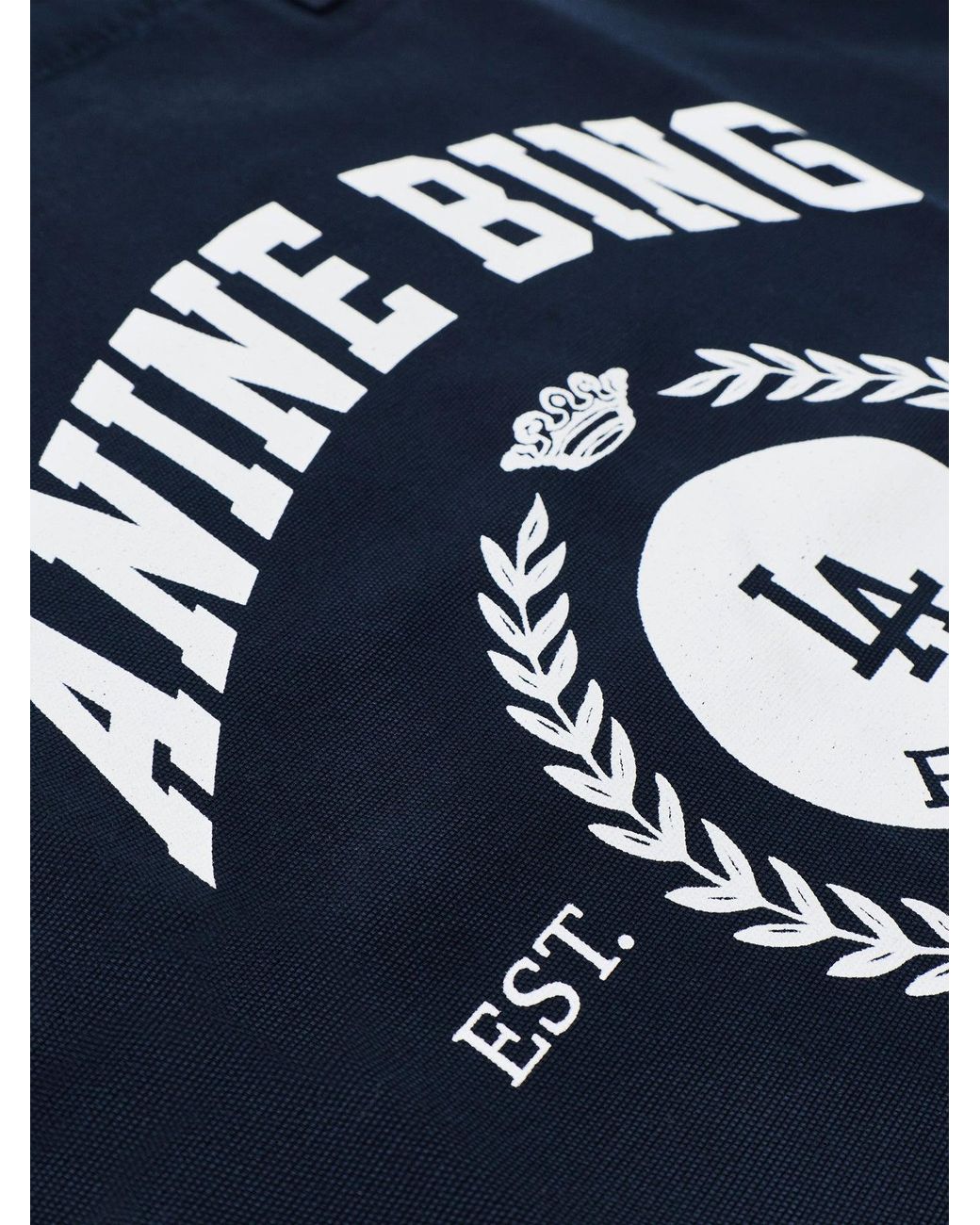 Anine Bing Blue Leo Canvas Tote Bag