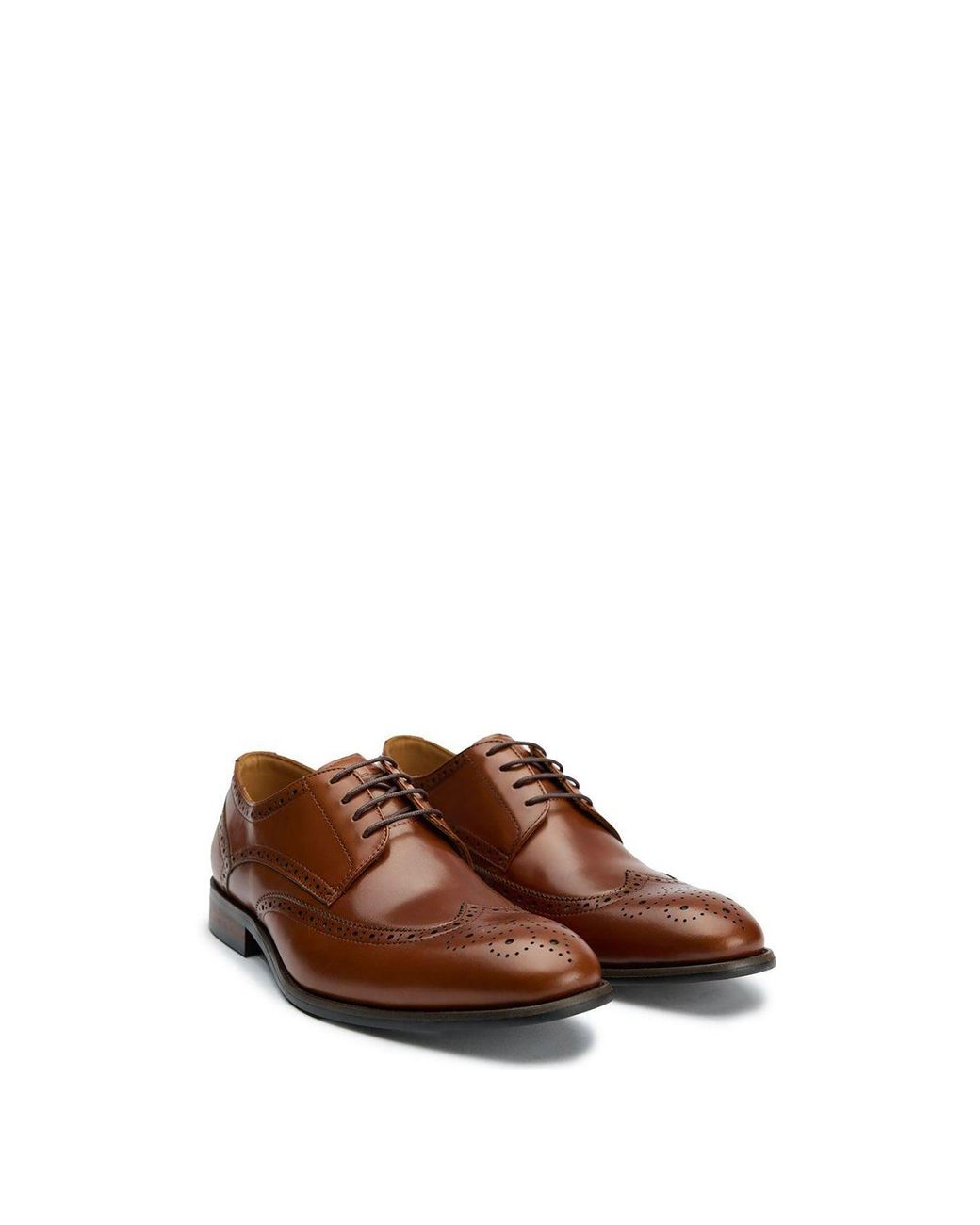 Sole Ldn Brown Hoggle Brogue Shoes for men