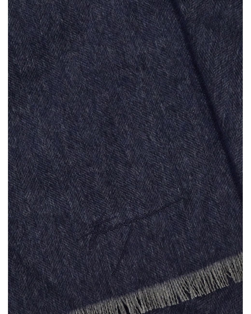 Uomo Sciarpa di Ferragamo in Blue da Uomo