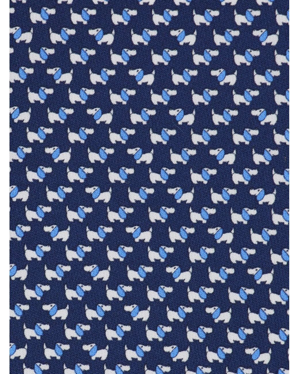 Uomo Cravatta di Ferragamo in Blue da Uomo