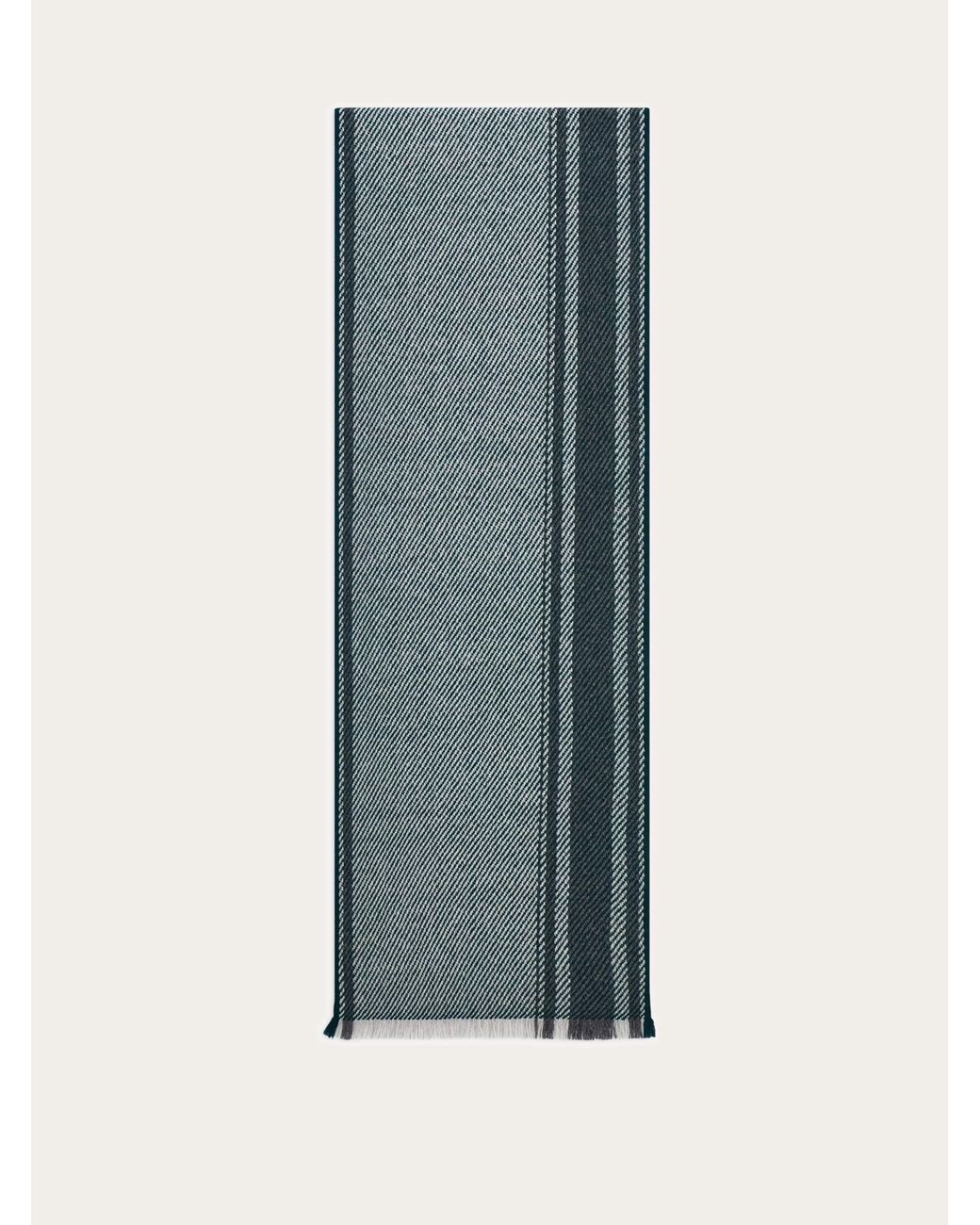 Uomo Sciarpa di Ferragamo in Blue da Uomo