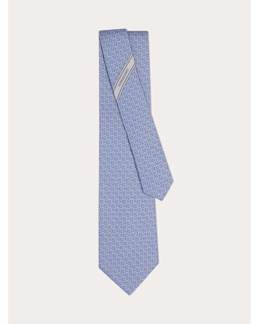 Uomo Cravatta di Ferragamo in Blue da Uomo