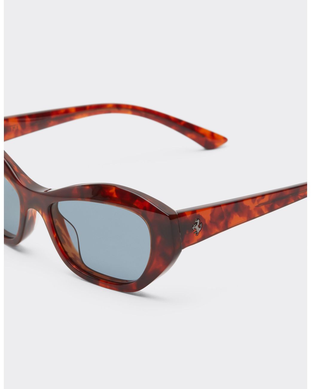 Ferrari Multicolor Sunglasses