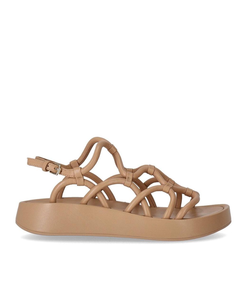 Ash venus trainers clearance