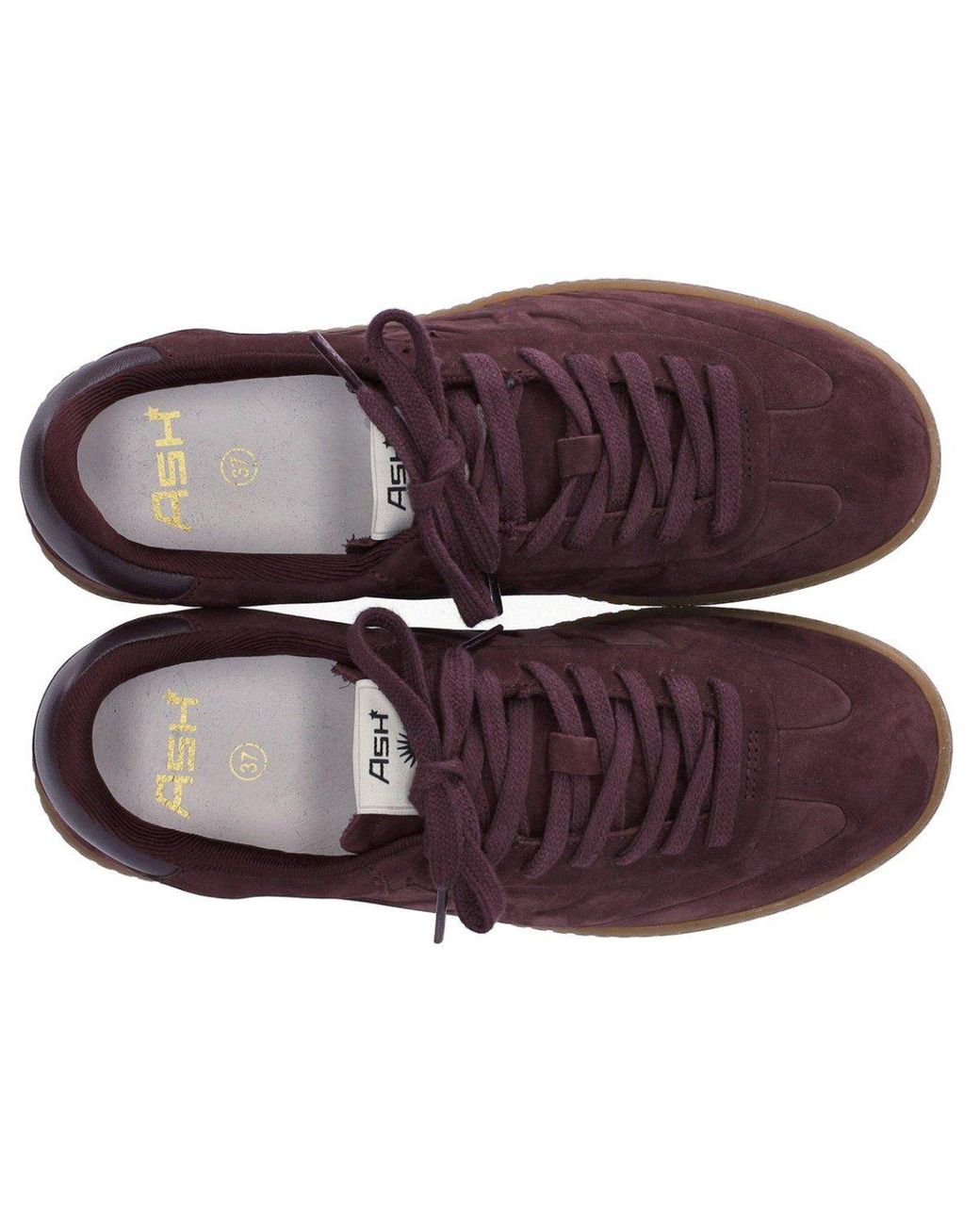 Ash Brown Siena Burgundy Sneaker