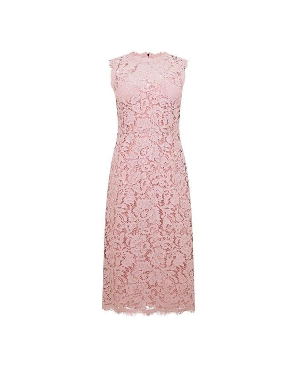 Dolce & Gabbana Dg Lace Dress in Pink | Lyst UK