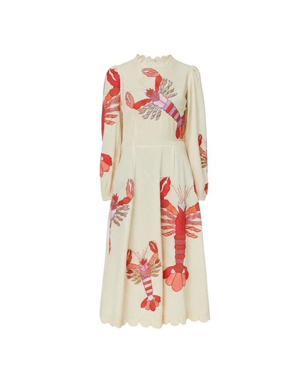 Stella Nova Multicolor Embroidered Midi Dress