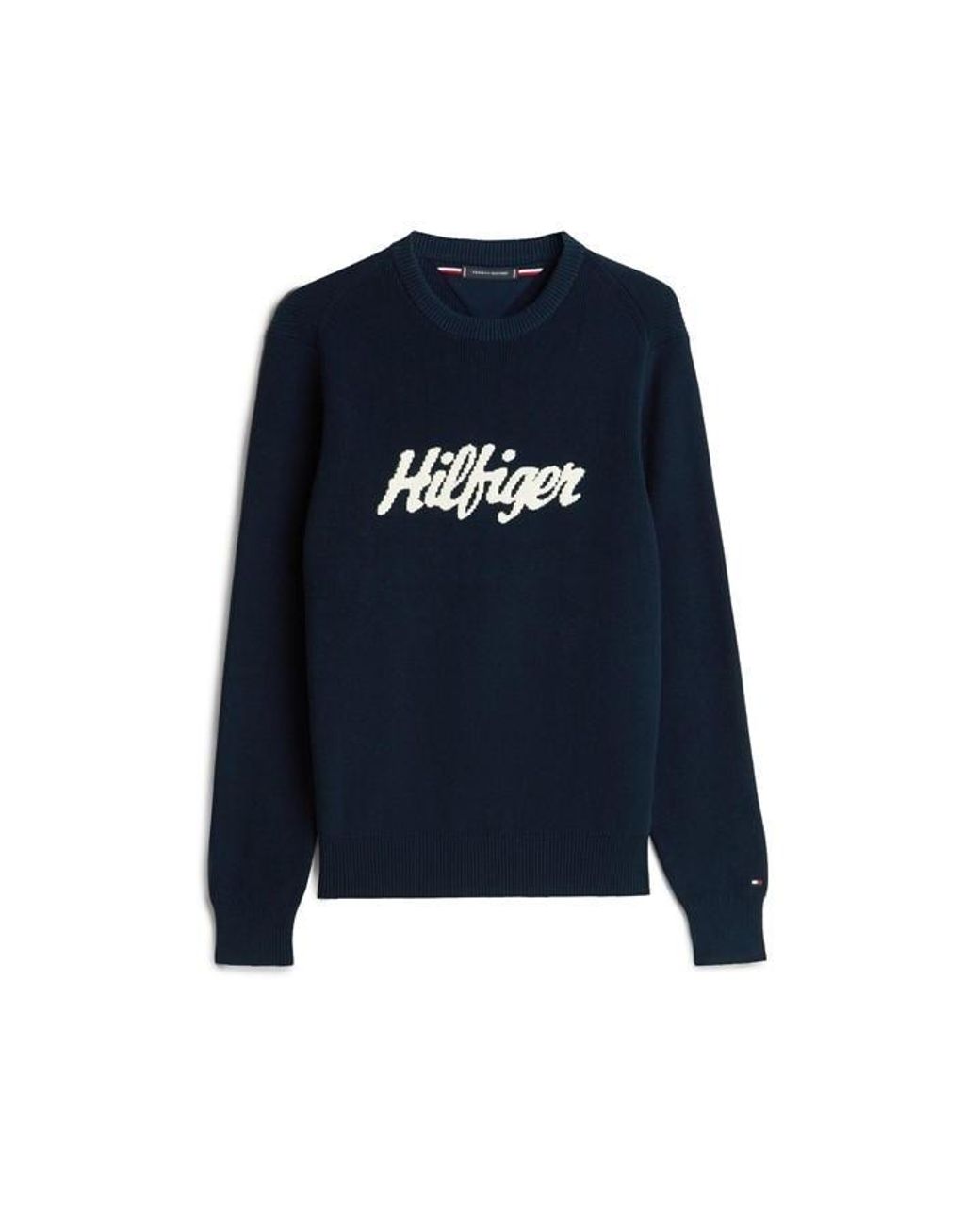 Tommy Hilfiger Blue Logo Knitted Crew Neck Jumper for men