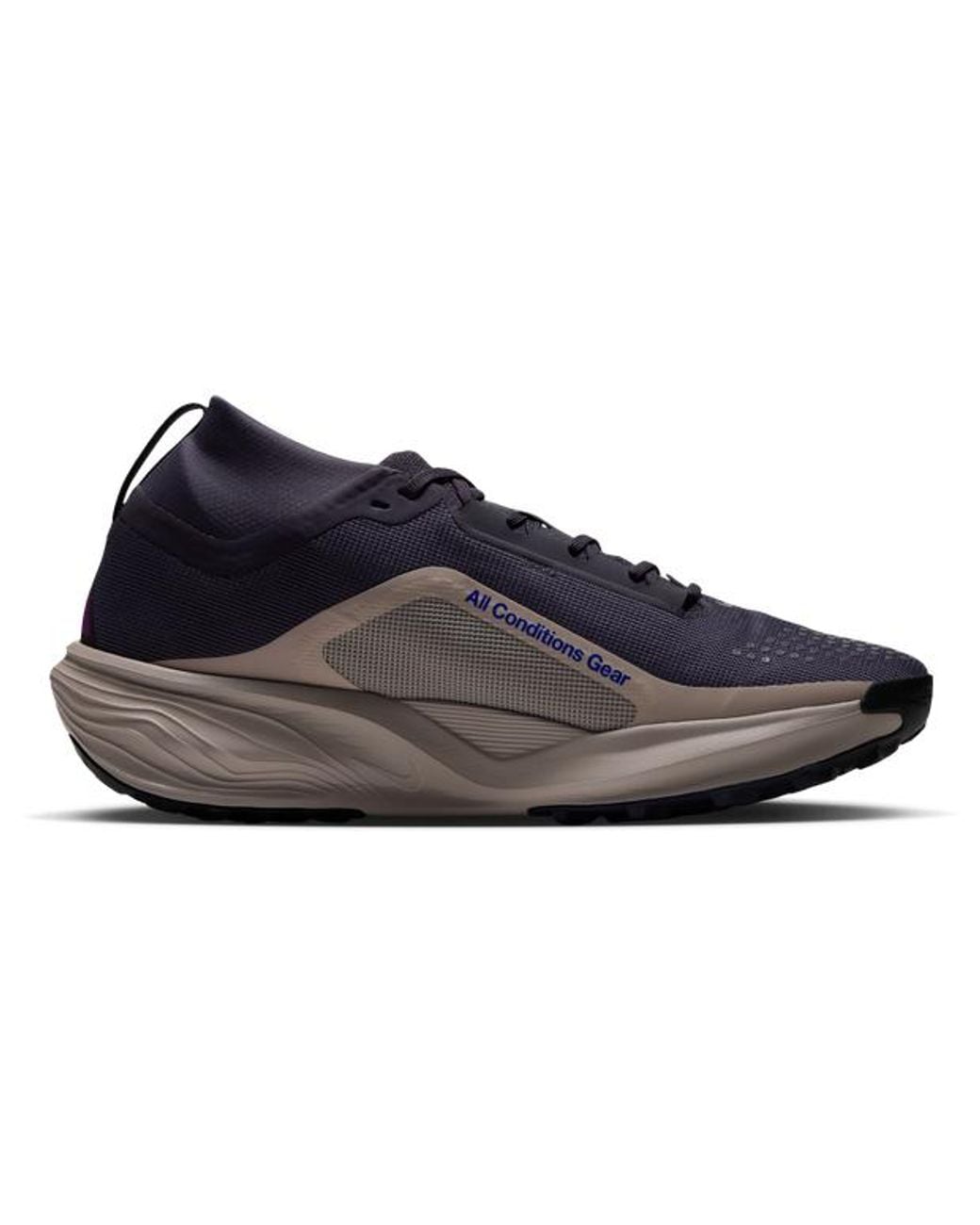 Nike Blue Pegasus Shoes for men