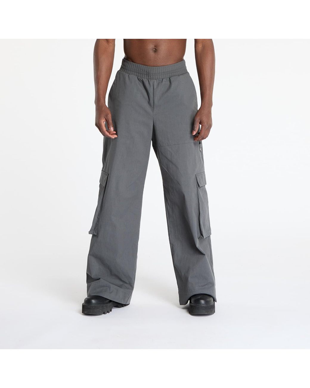 HELIOT EMIL Pants Pulsar Cargo in Gray for Men | Lyst