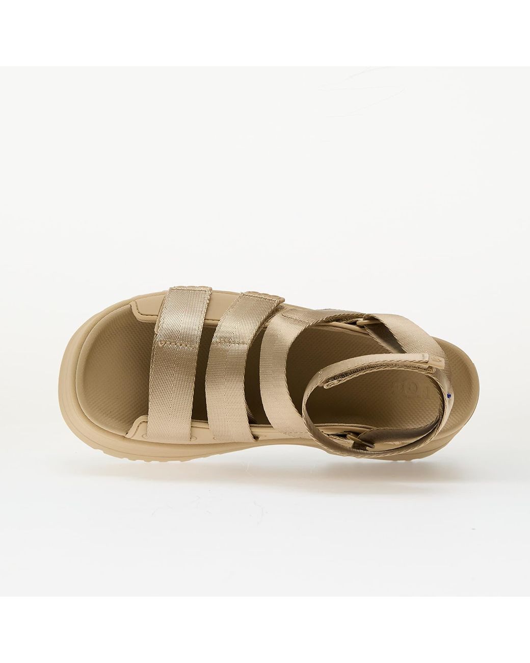 UGG Sneakers W Goldenrise in Metallic | Lyst