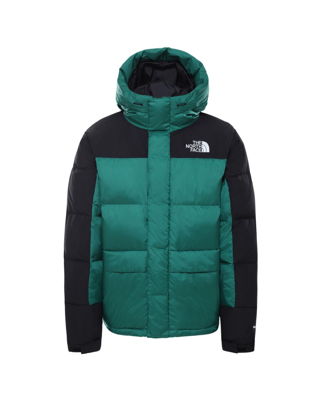 The North Face Hmlyn Down Parka Evergreen for Men | Lyst