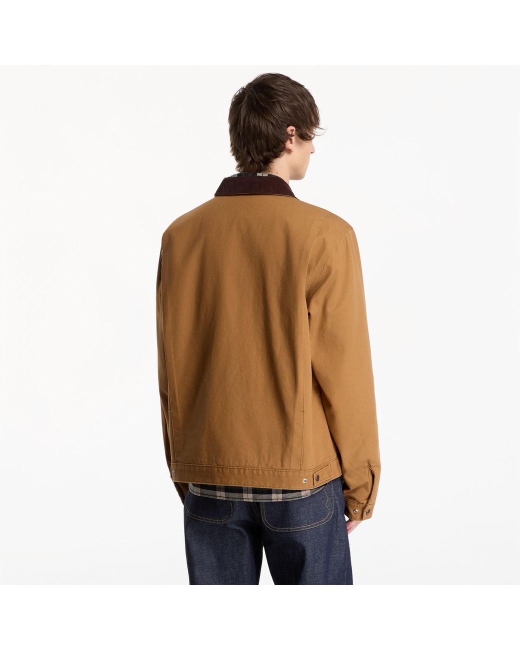 Dickies Jas 758 Duck Jacket in het Brown voor heren
