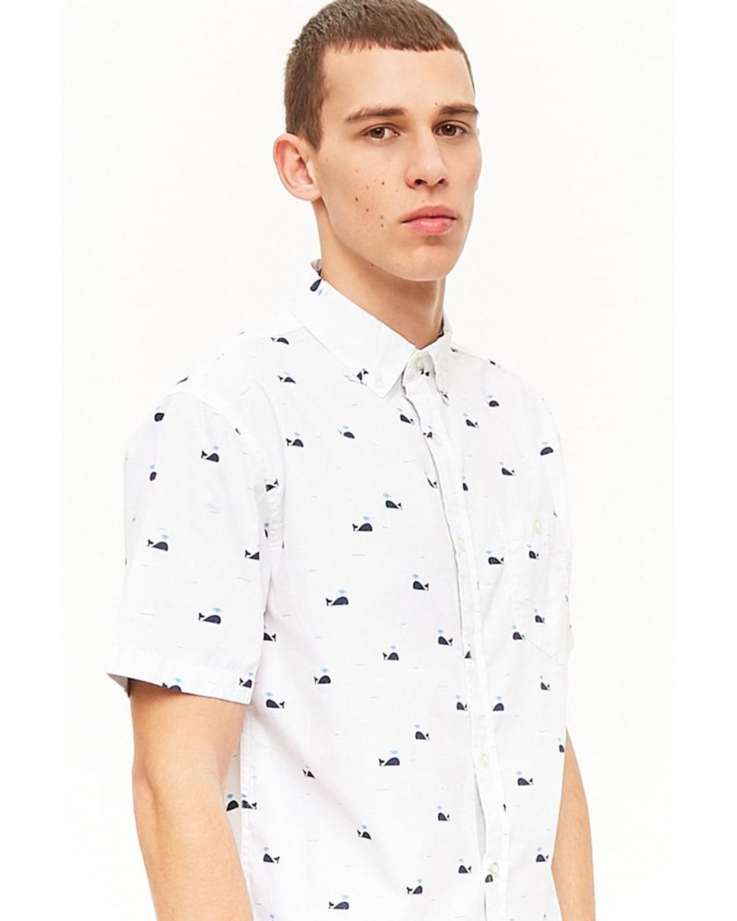artistry in motion whale shirt