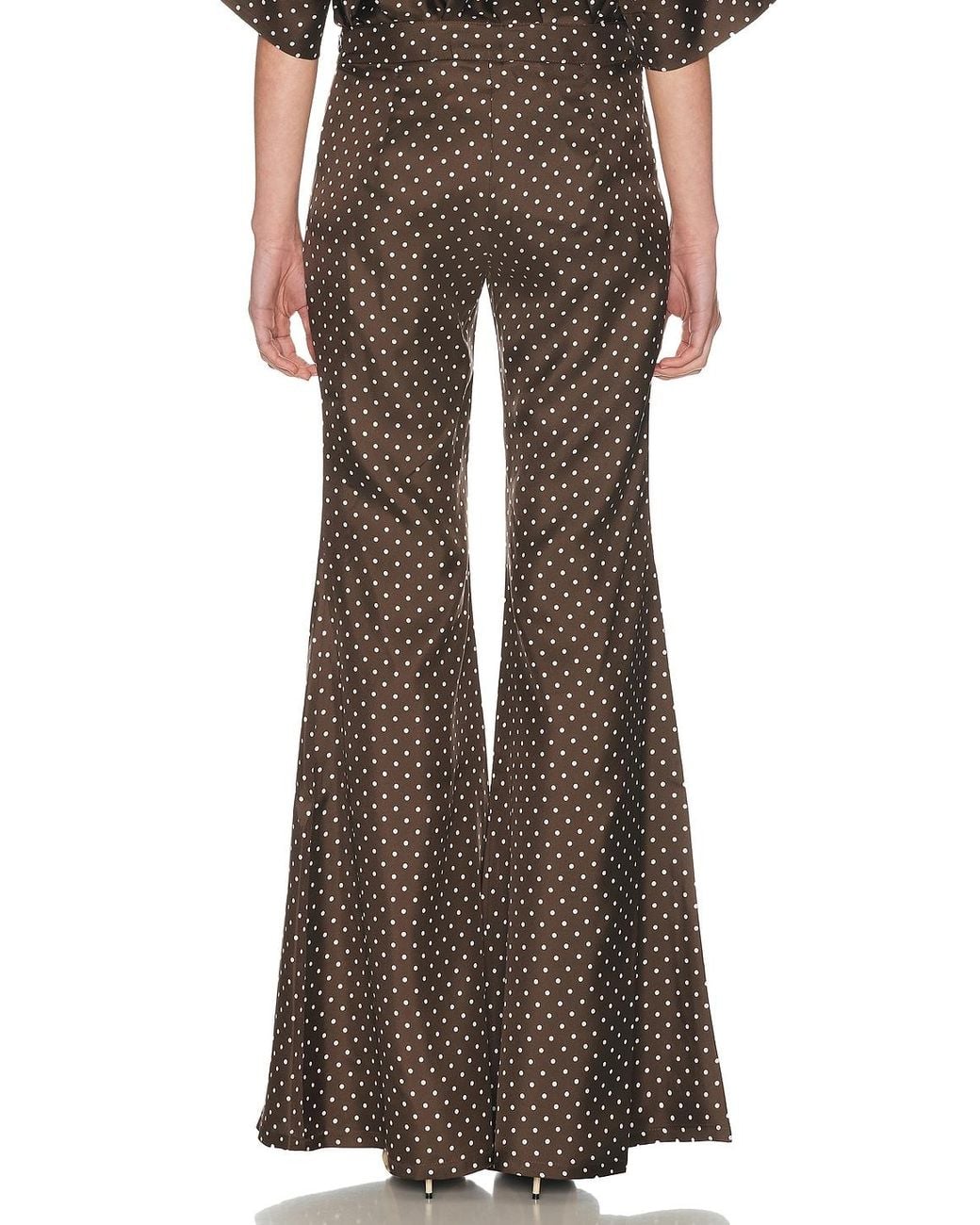 Franchise Brown Zaoua Pant