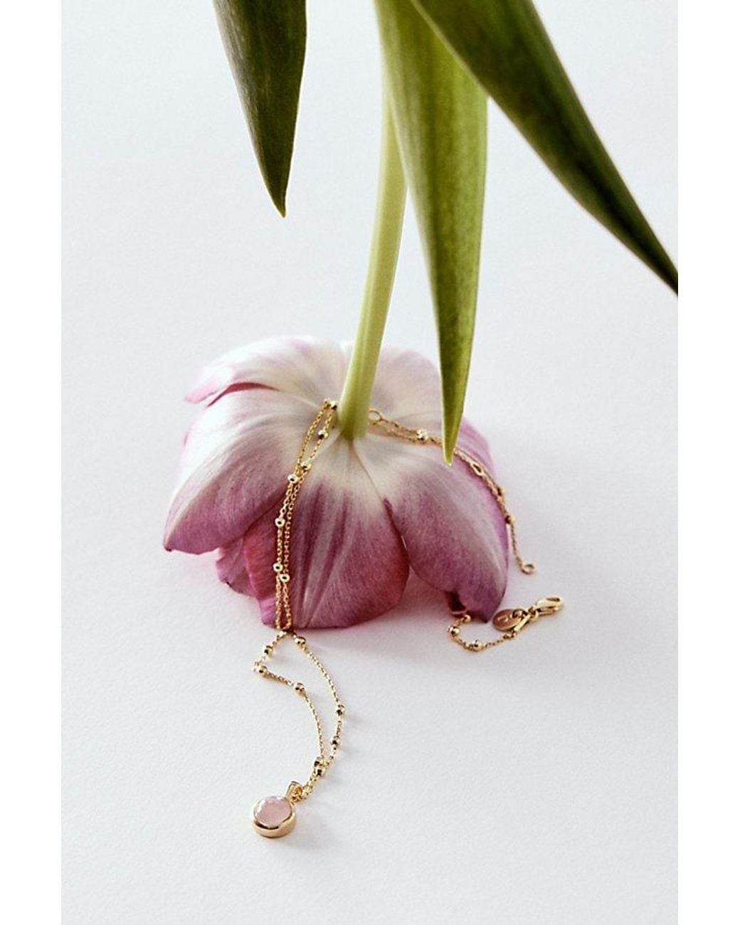 Daisy London Red Plated Healing Stone Necklace