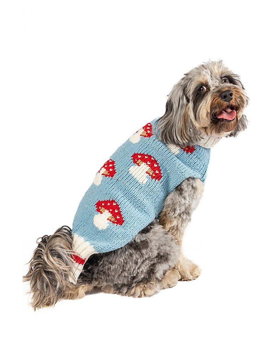 Free People Chilly Dog Mushroom Dog Sweater in Blue