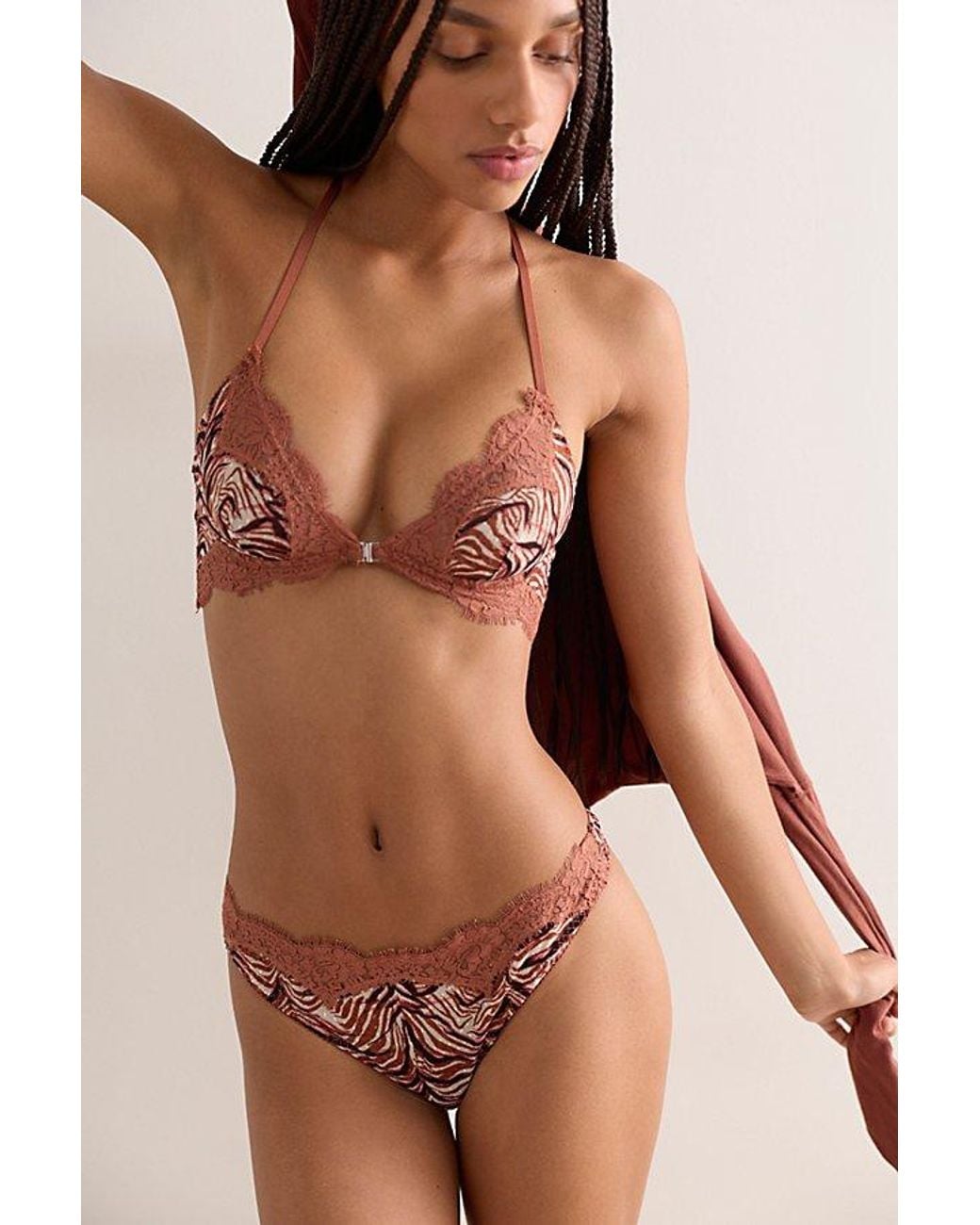 Intimately By Free People Brown Fiona Mesh Printed Thong By