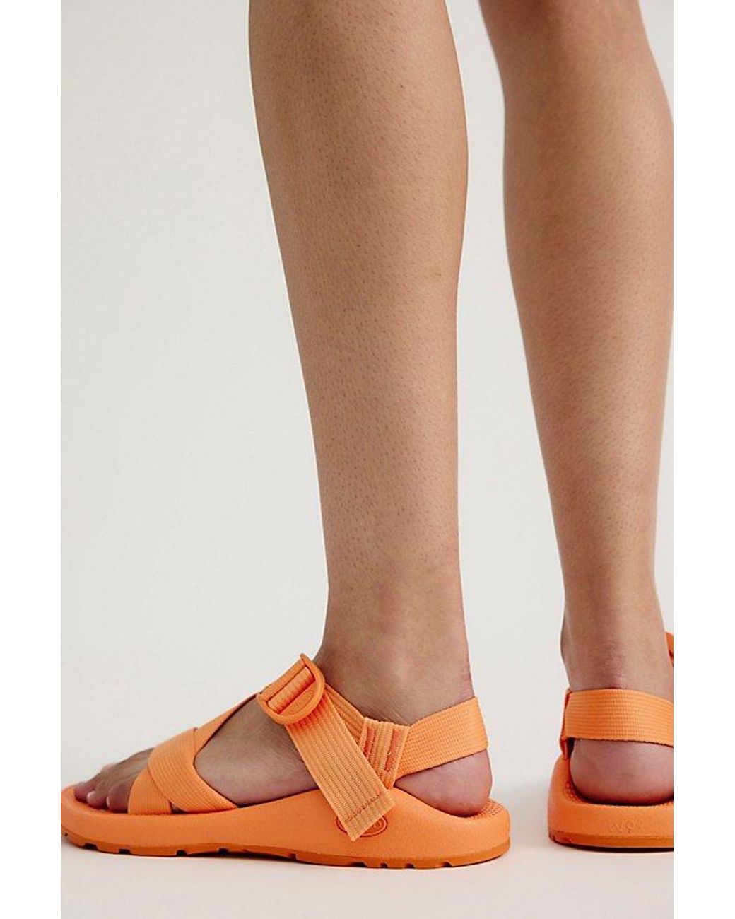 Chaco Green Mega Z Classic Sandals