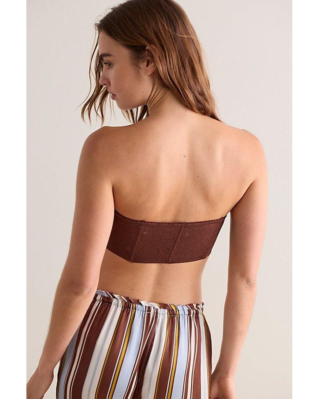 Intimately By Free People Brown Smooth Talking Lace Bandeau By