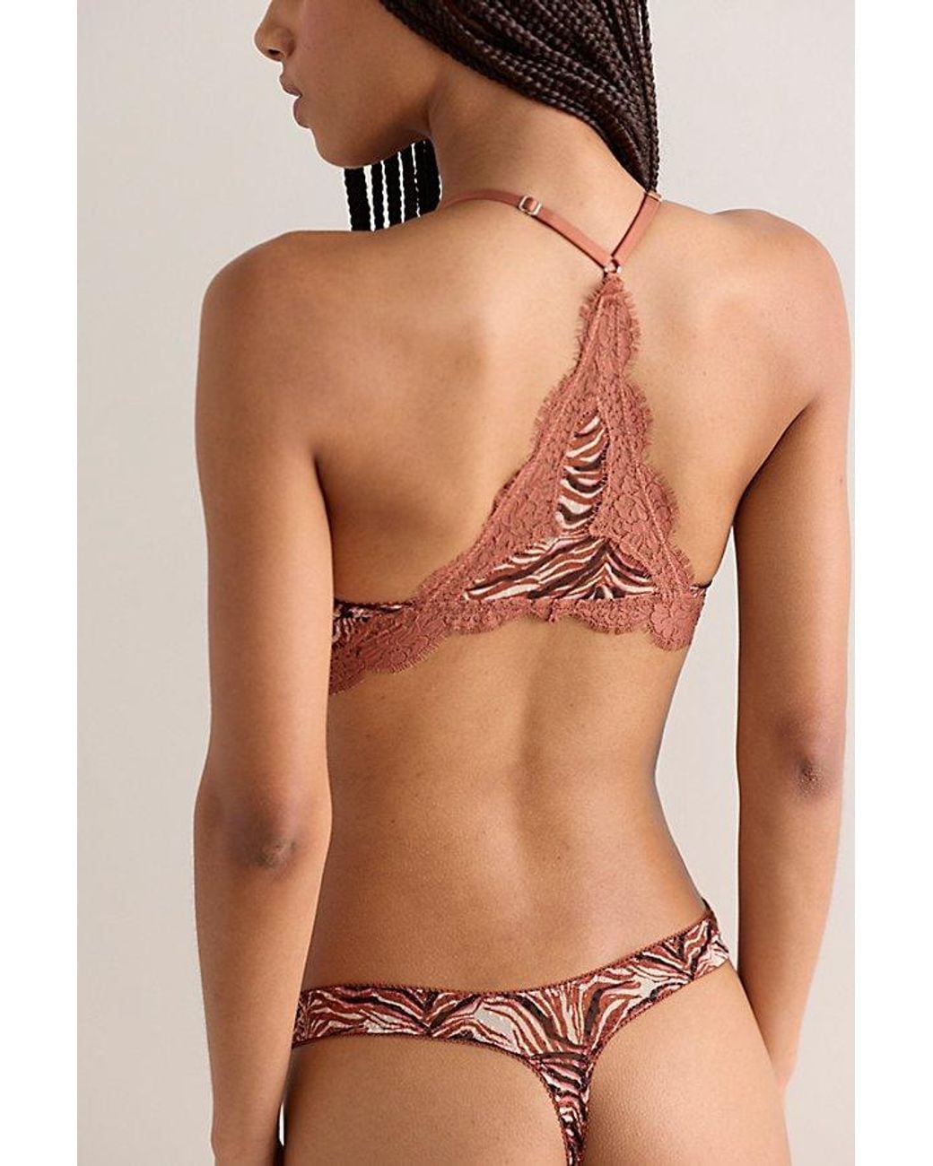 Intimately By Free People Brown Fiona Mesh Printed Thong By