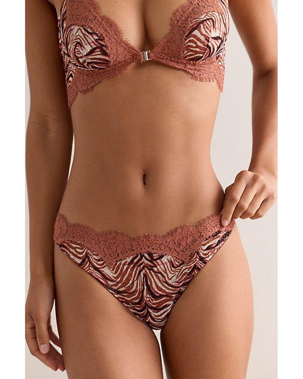 Intimately By Free People Brown Fiona Mesh Printed Thong By