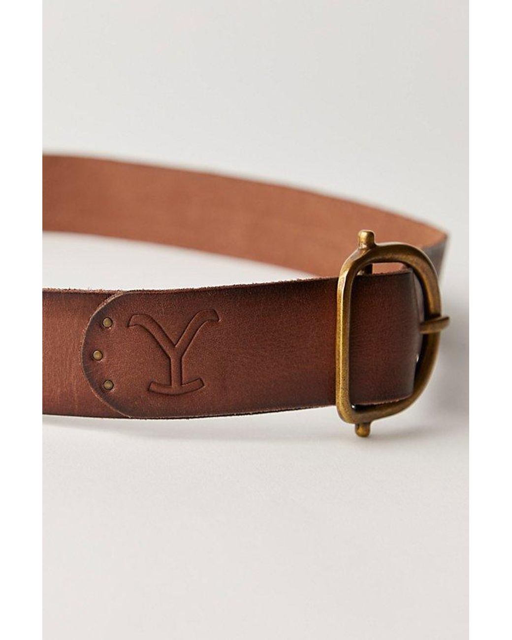 Free People X Yellowstone Birch Belt in Brown | Lyst display picture 2