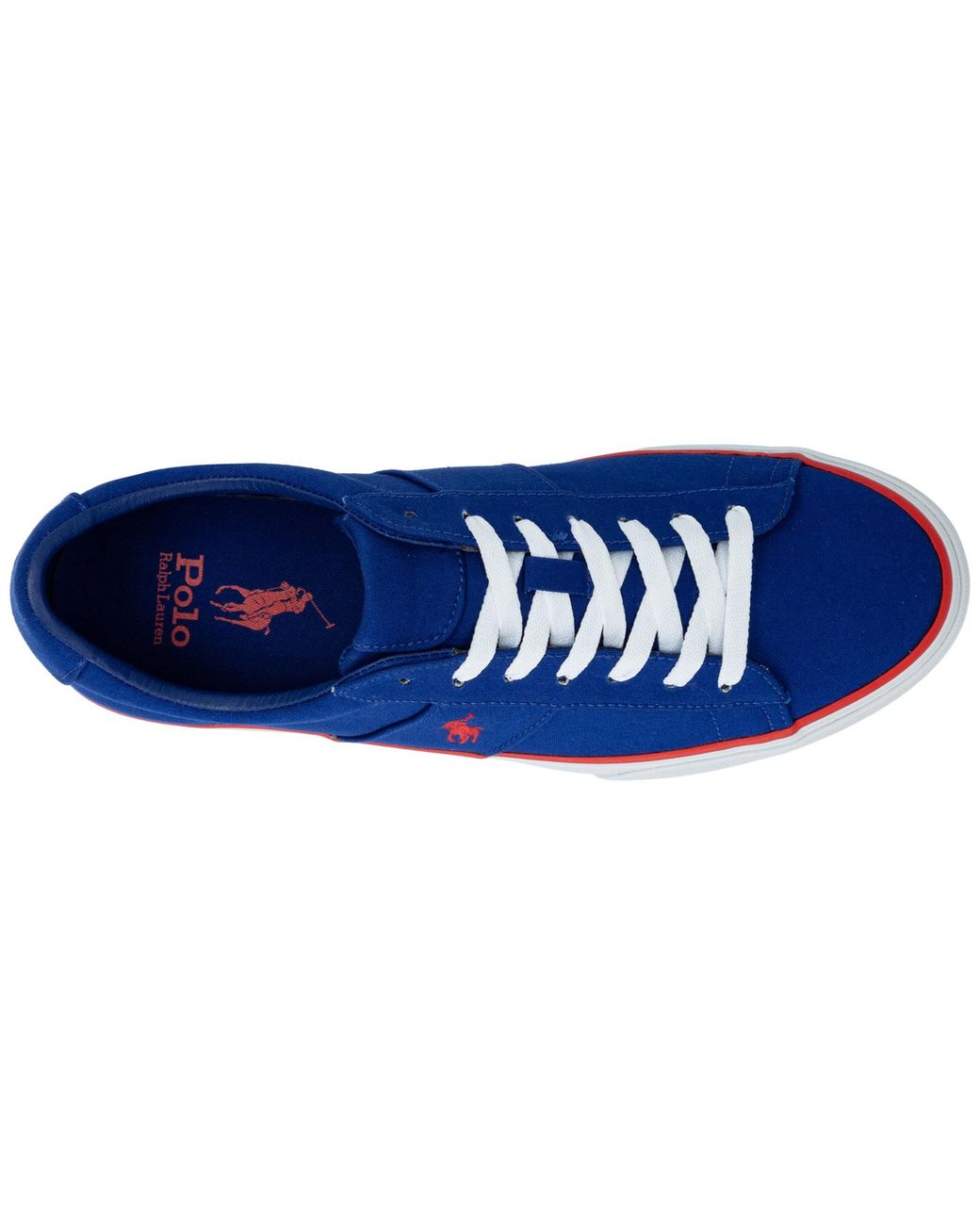 polo blue trainers