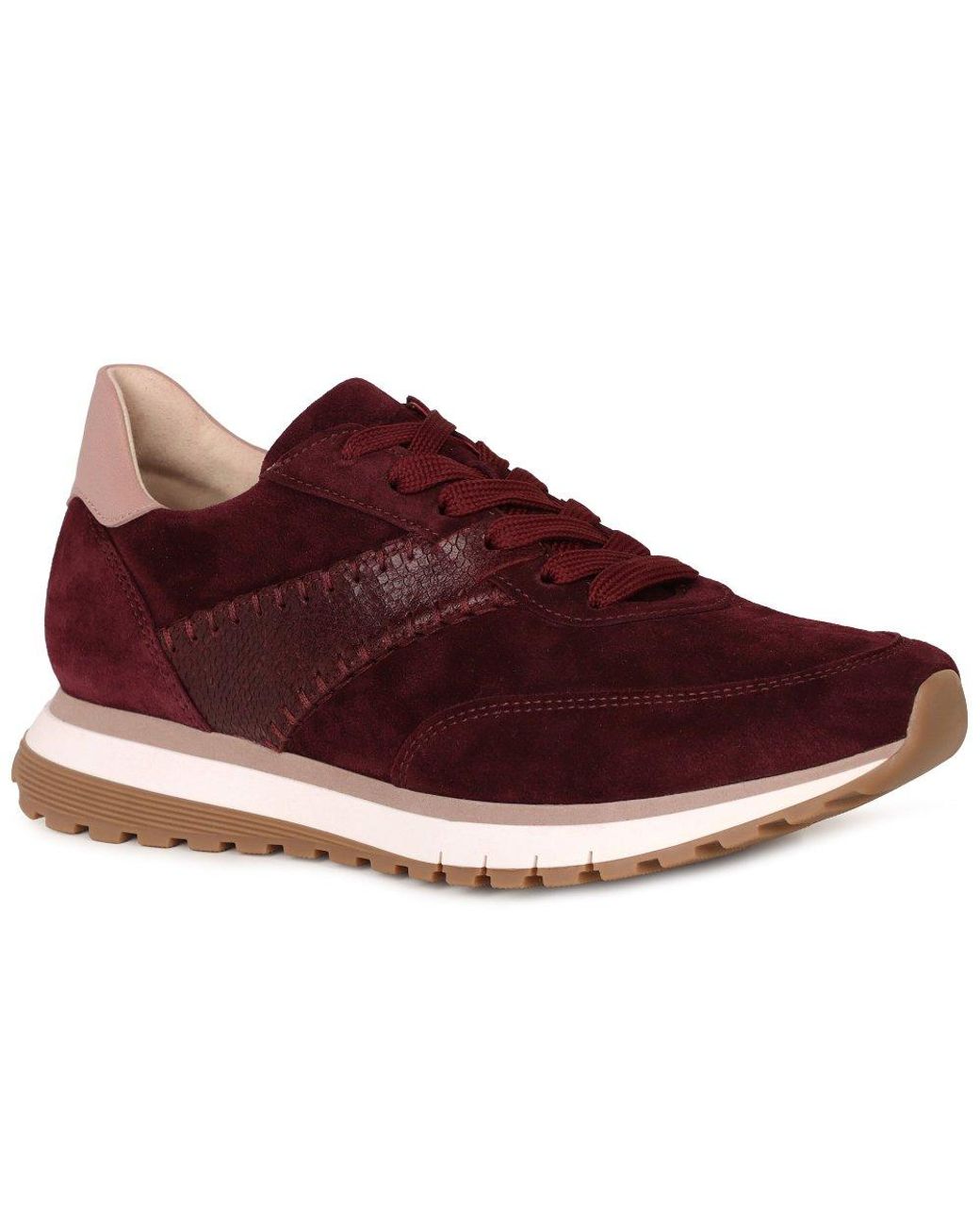 Gabor Red Harp Trainers