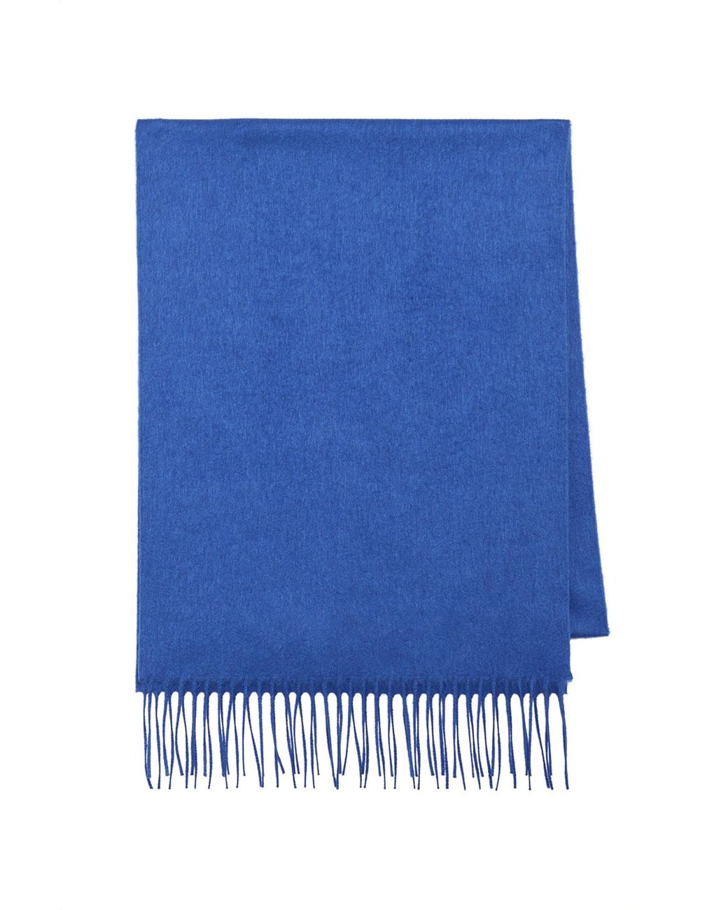 Gabriela Hearst Blue Blaine Fringe Scarf