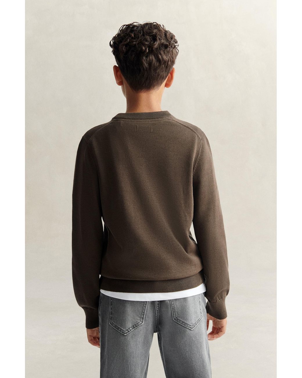 Gant Brown Teens Teen Boys Shield Sweater for men