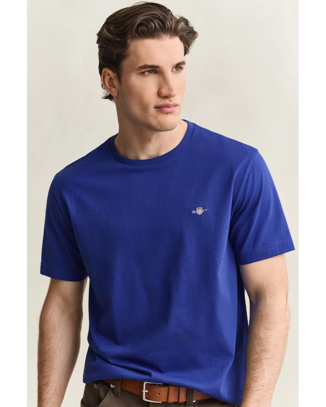 Gant Blue Regular Shield T-Shirt for men