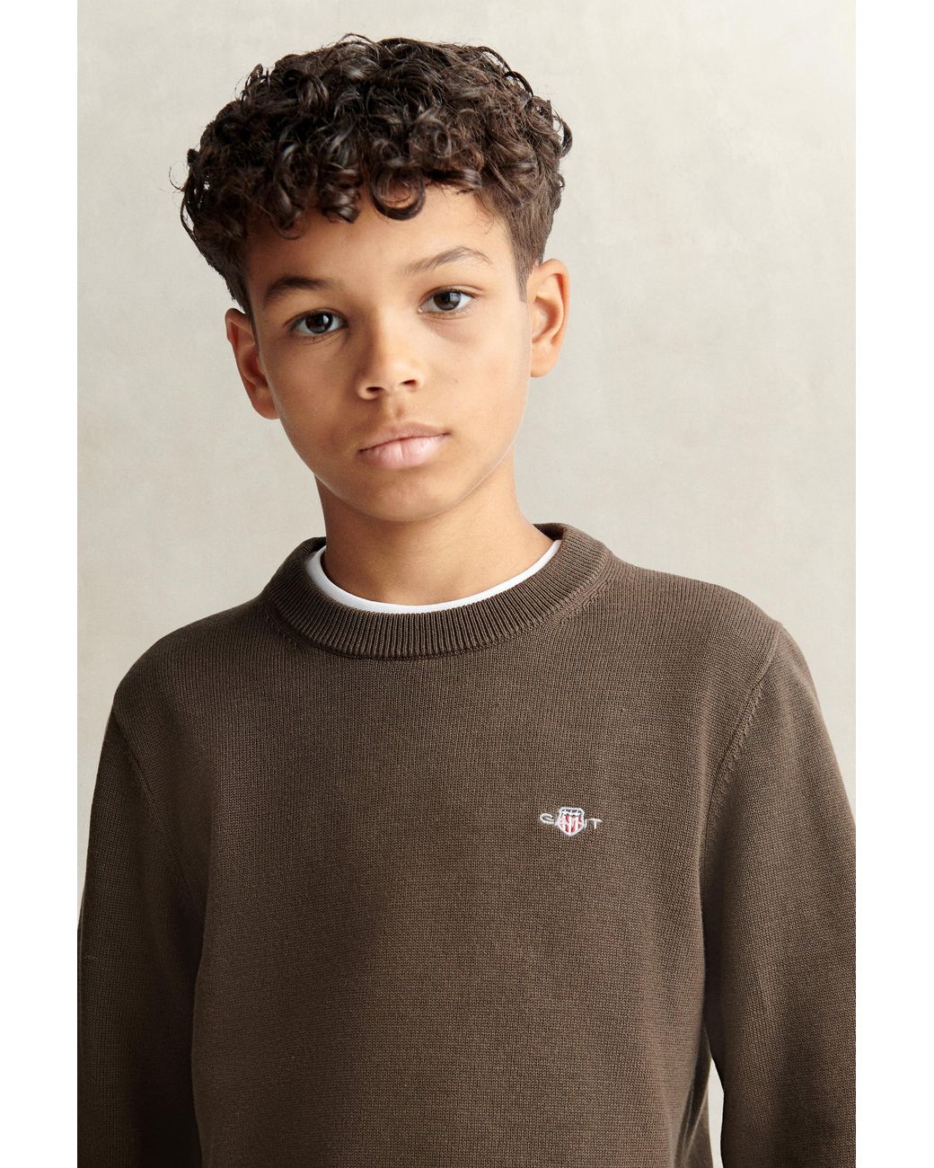 Gant Brown Teens Teen Boys Shield Sweater for men