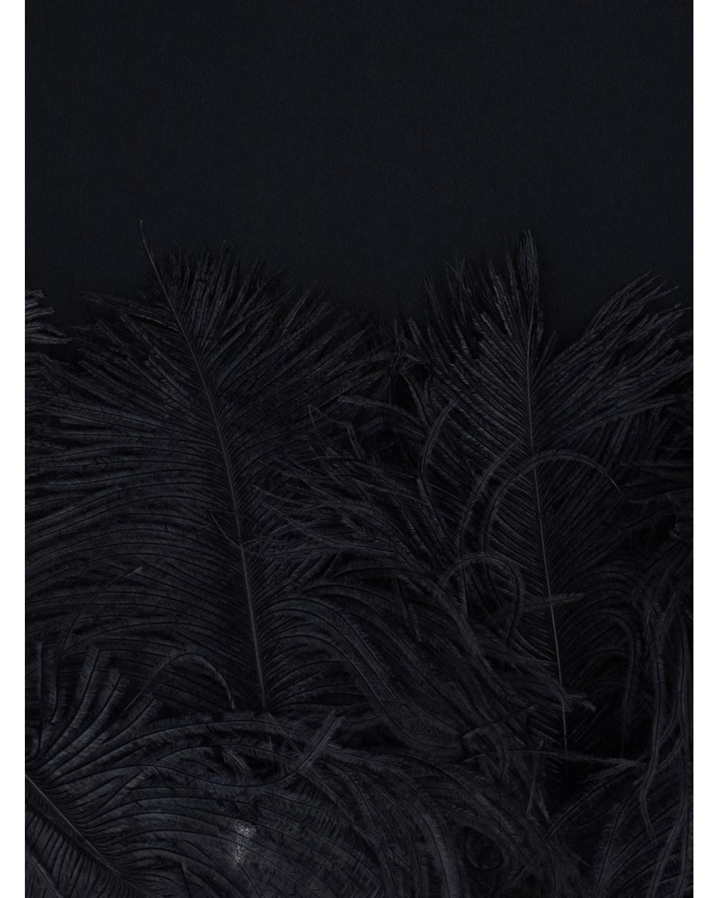 Semicouture Black Dress With Feathers Applied On The Edges