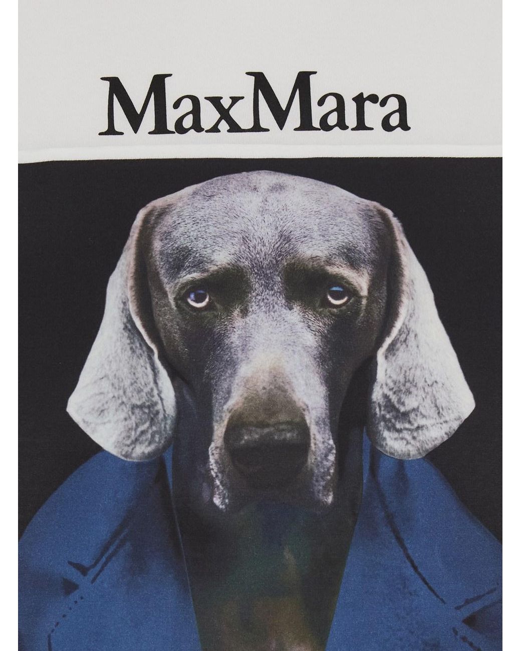 Max Mara Blue Crew Neck T-Shirt Calca Cotton T-Shirts & Jerseys