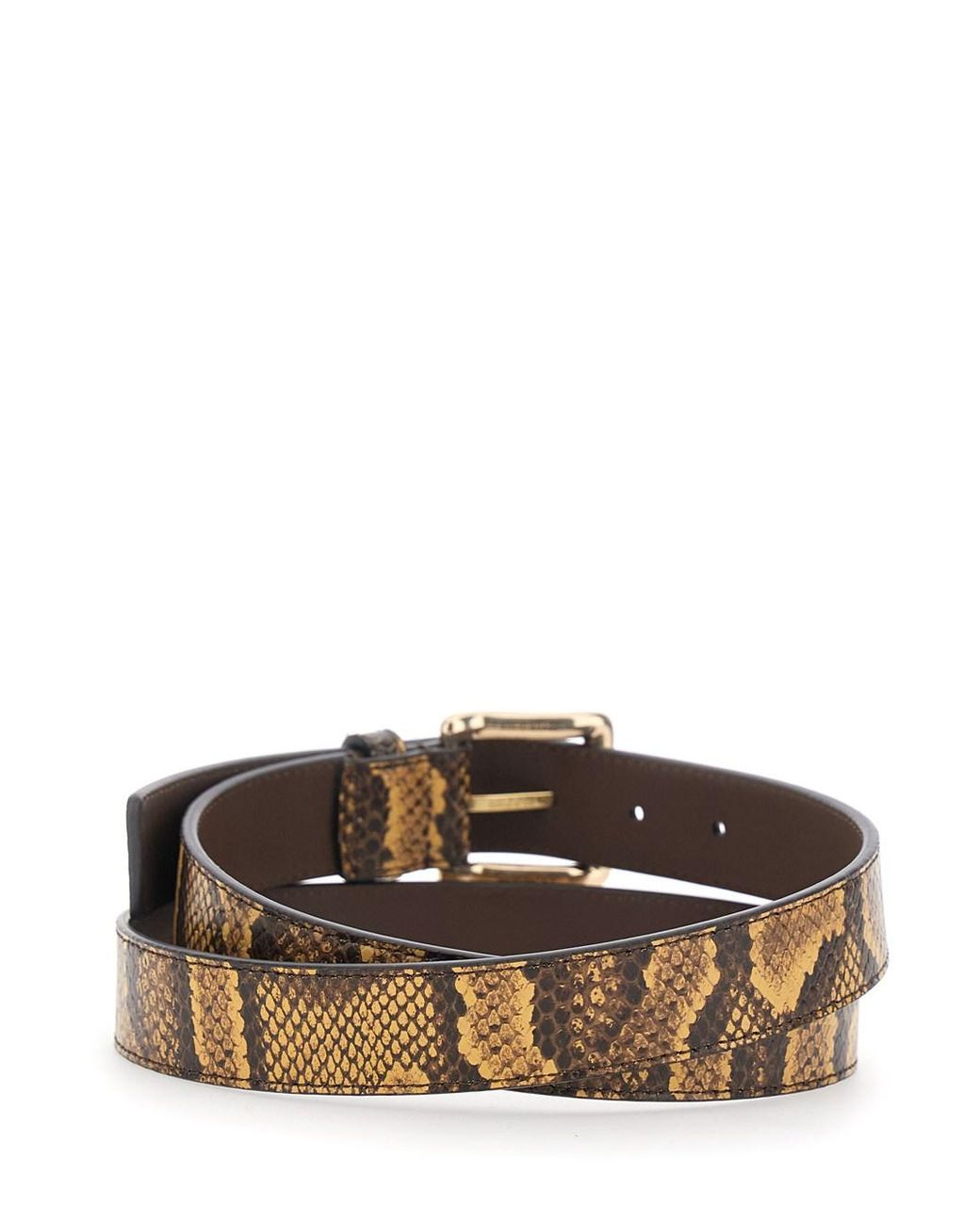 Amiri Brown Python Square Belt With Leather Details And Reptile Print for men