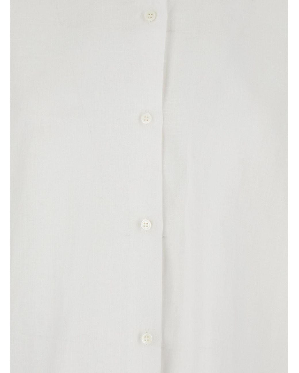 Le Plain White Shirt With Classic Collar And Long Sleeves