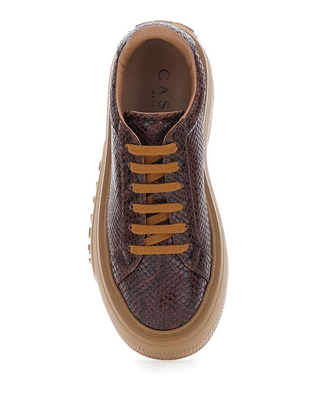 Casadei Brown Sneakers Nexus Leather Trainers