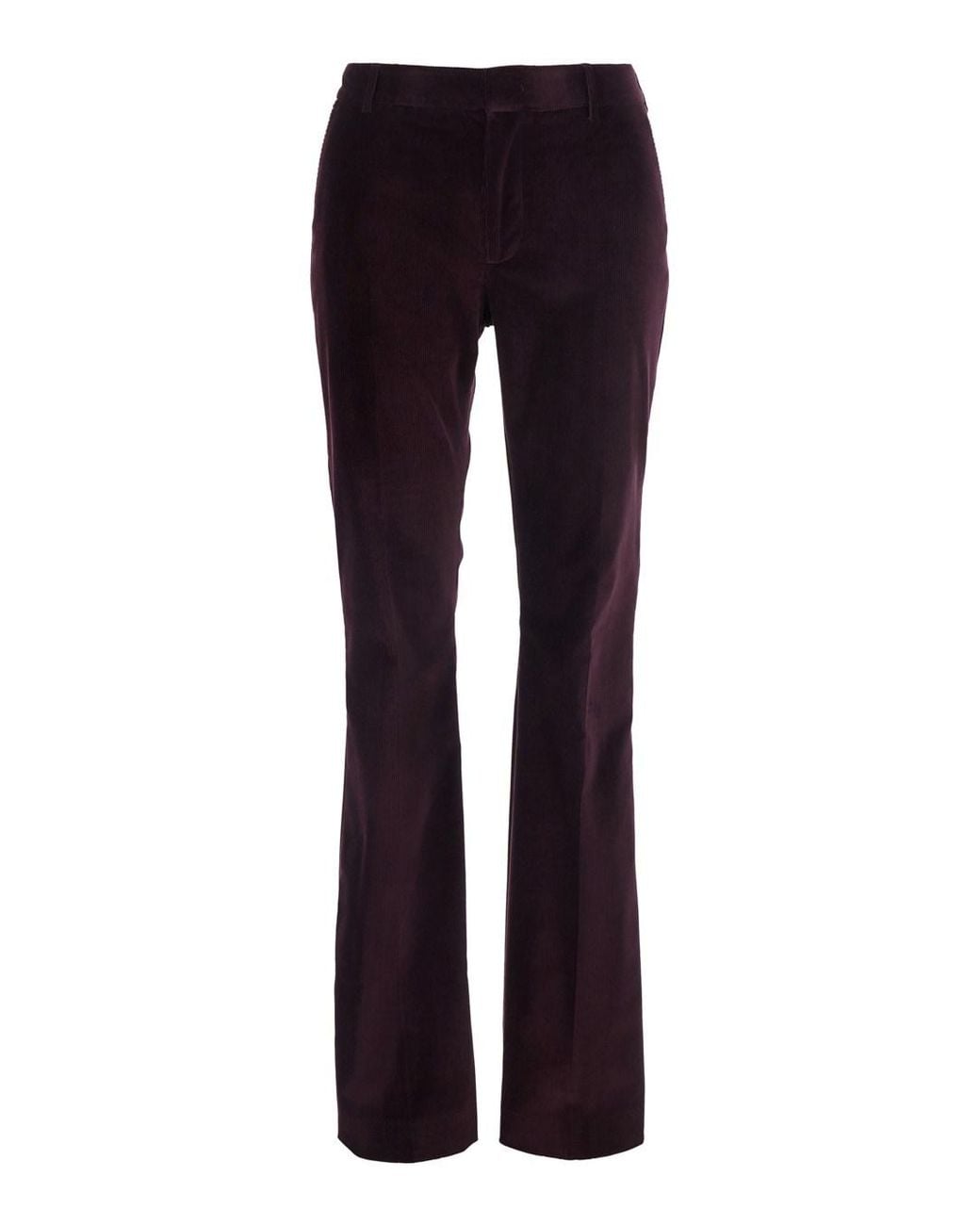 PT Torino Blue Burgundy Straight Leg Pants With Five-Pocket Design