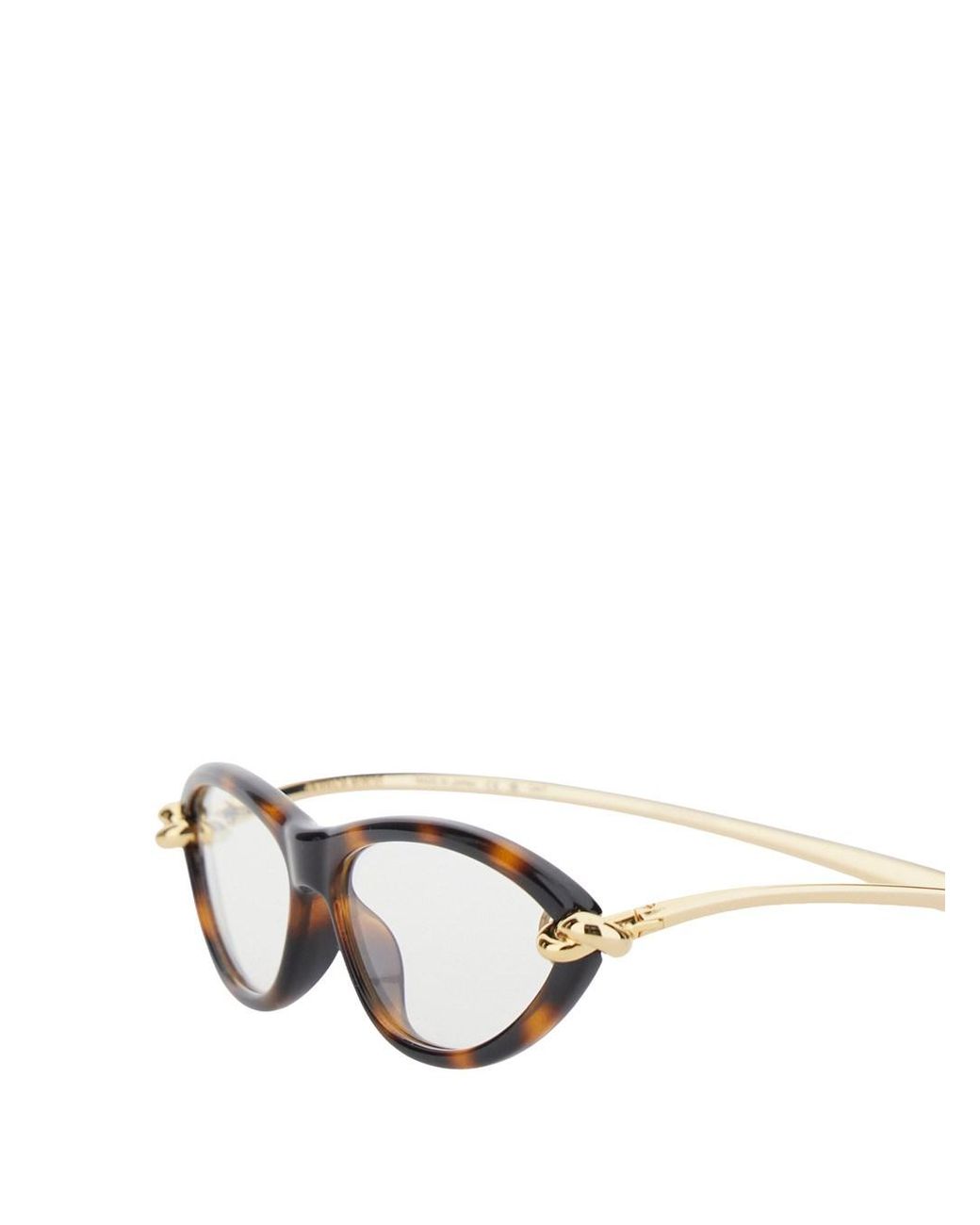 Bottega Veneta Multicolor Cat-Eye Sunglasses