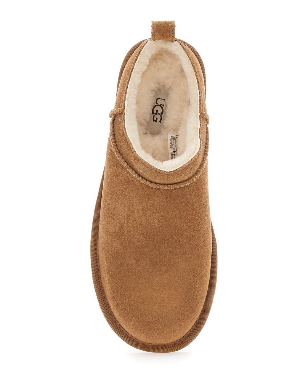 Ugg Brown Ankle Boots Classic Micro Suede