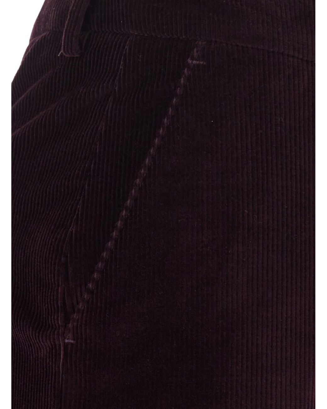 PT Torino Blue Burgundy Straight Leg Pants With Five-Pocket Design